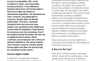 Business and human rights | 10 tips